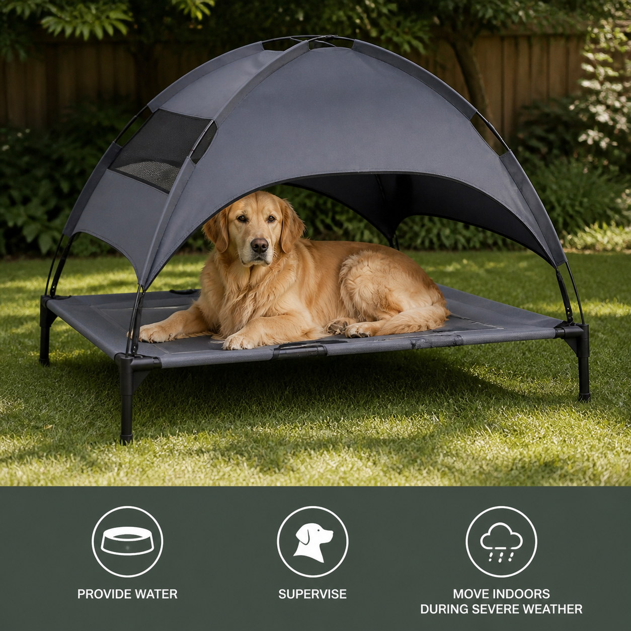 Outdoor dog bed water, supervision and weather guidance