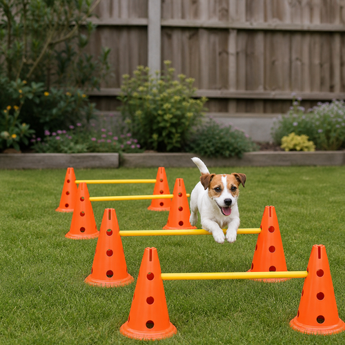 Dog practising over the adjustable agility jumps in a garden