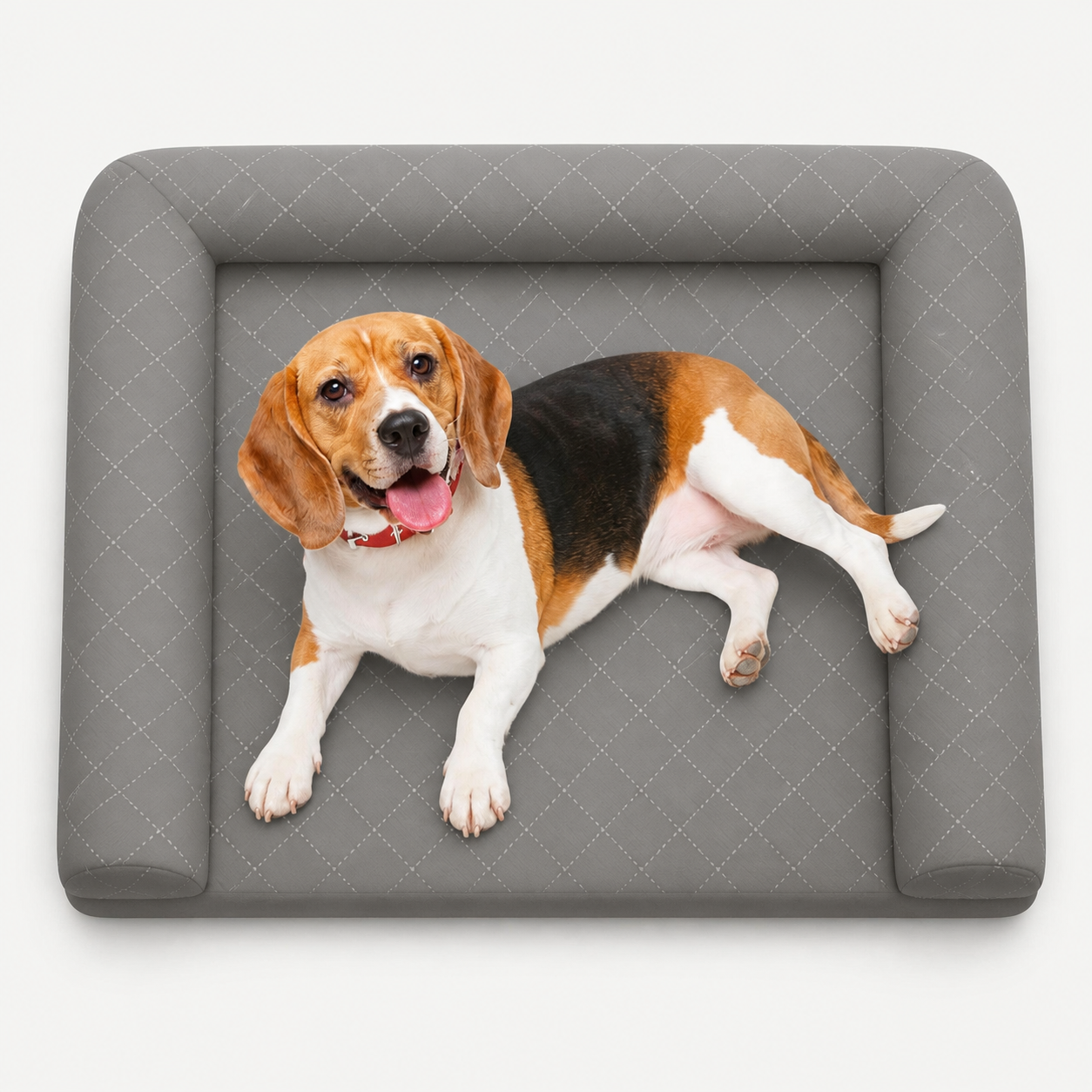Top view of a dog lying within the bed's sleeping area