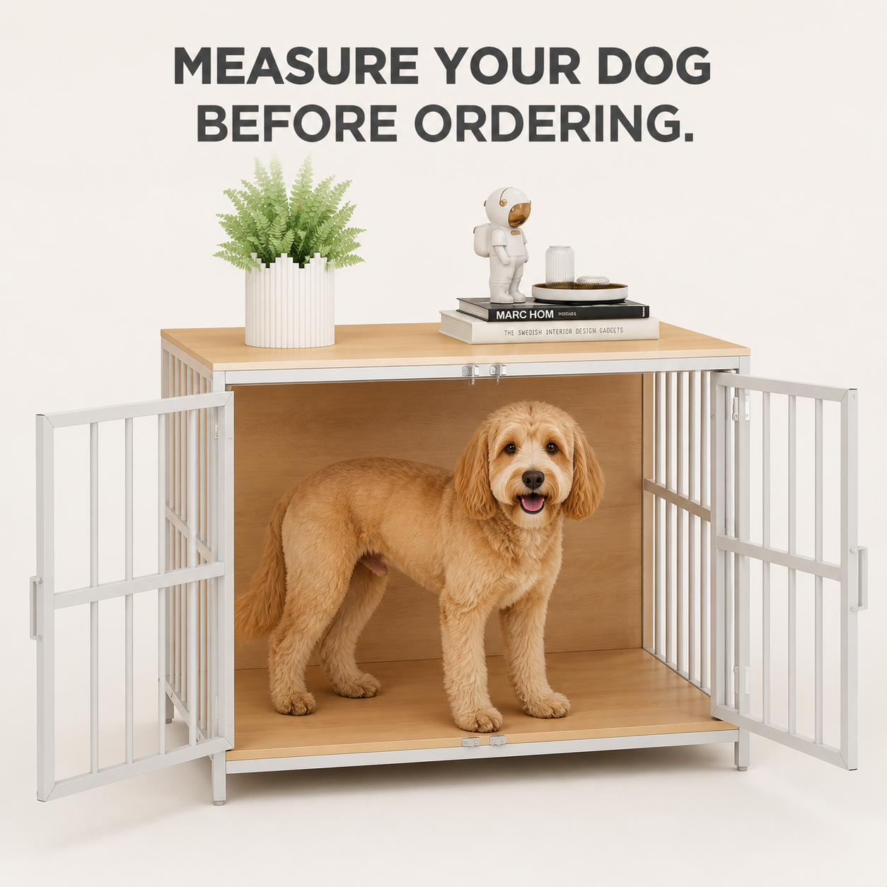 Dog standing inside the open crate for a fit check