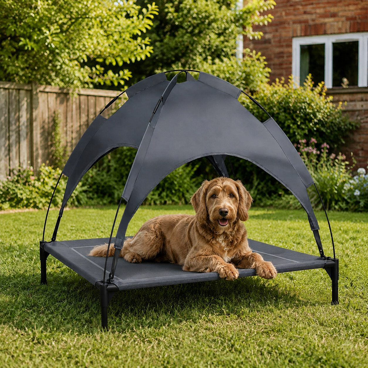 Dog resting on the elevated canopy bed in a garden