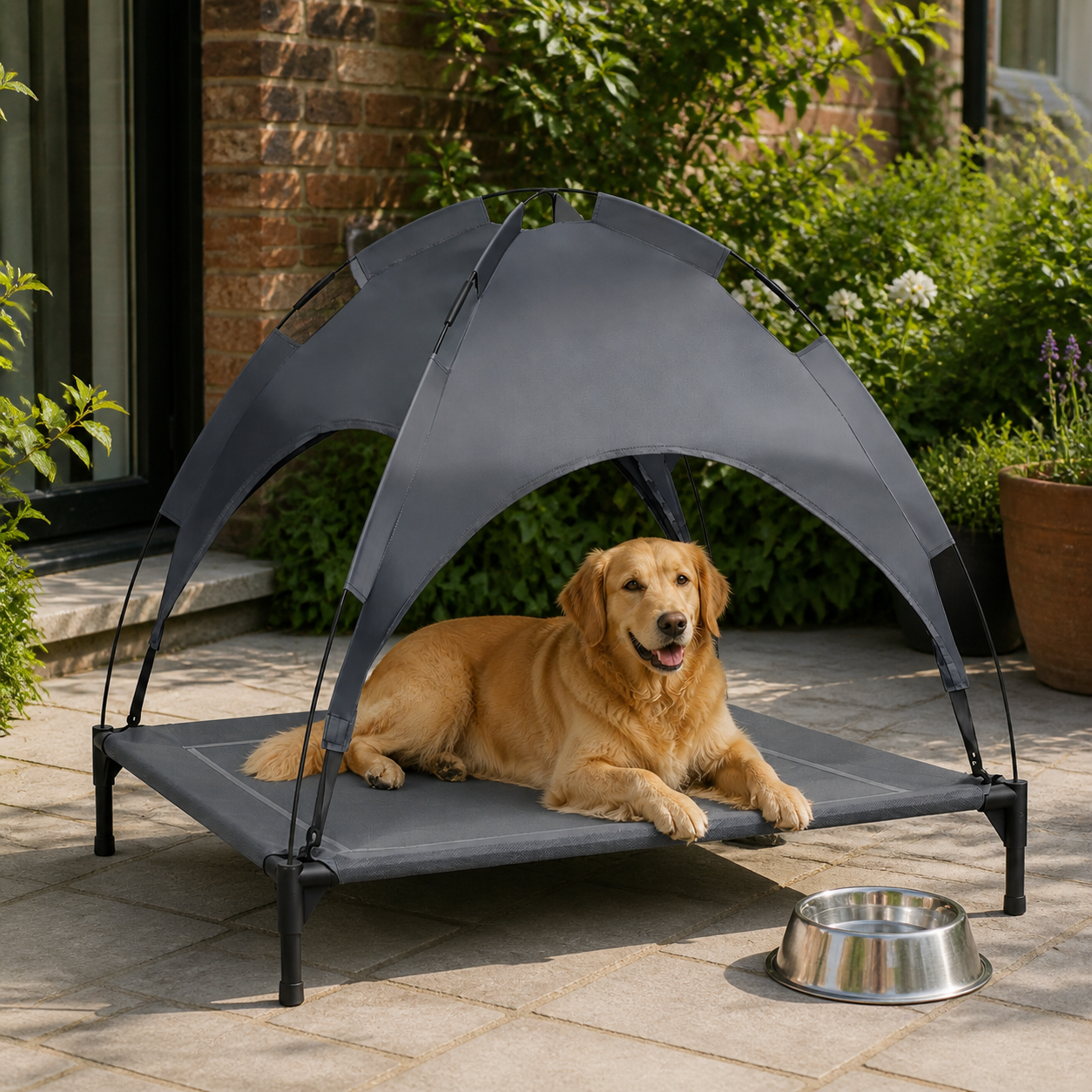 Dog on the shaded elevated bed with fresh water nearby