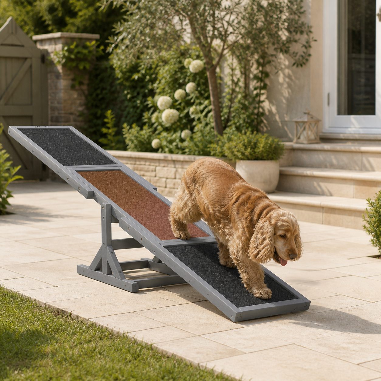 Wooden Dog Agility Seesaw — 180cm — in everyday use