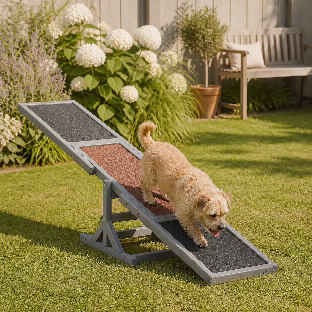 Wooden Dog Agility Seesaw — 180cm — second lifestyle view